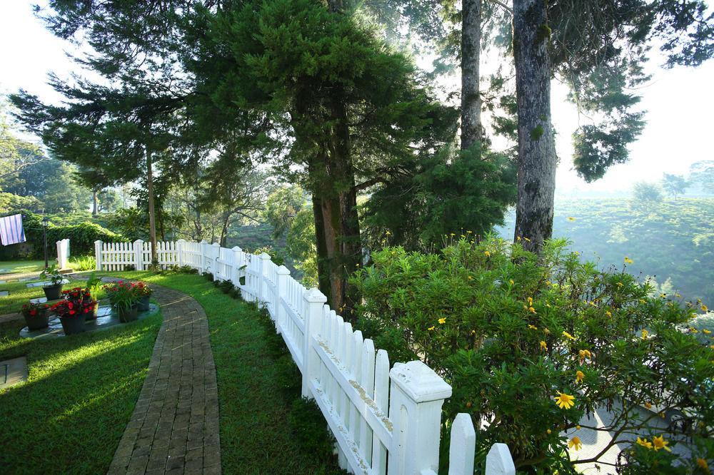 Willa The Firs Nuwara Eliya Zewnętrze zdjęcie